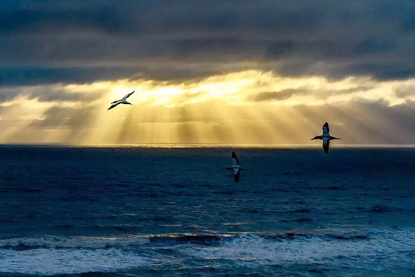 深度环线全景，布宫，林芝，巴松措，大峡谷，朗县，泽当，拉姆拉错，羊湖，满拉水库，日喀则，纳木措扎营8晚9日游