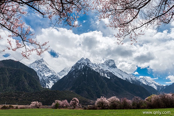 西藏跟旅游团费用多少