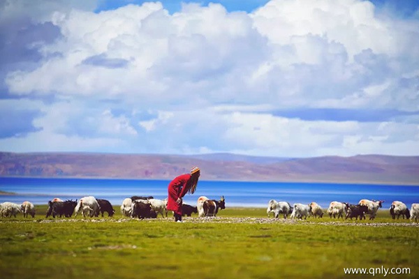 西藏旅行团旅游多少钱