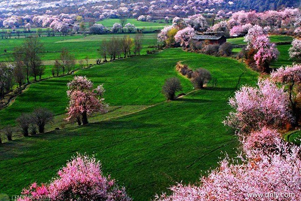 三月份去西藏旅游