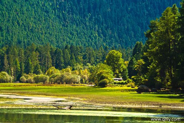 去西藏旅游一趟大概需要多少钱