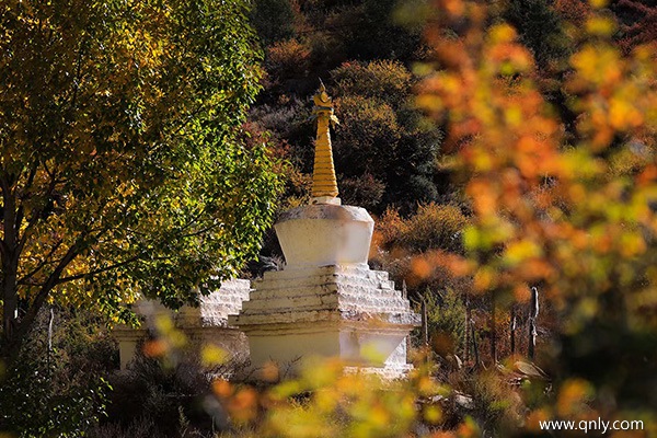 西藏旅游团多少钱