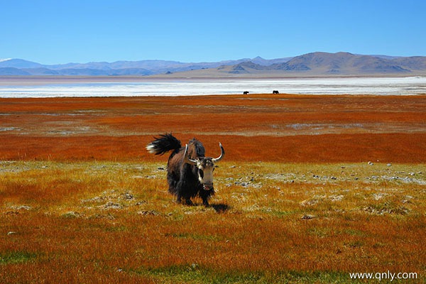 去西藏旅游好的季节是几月份