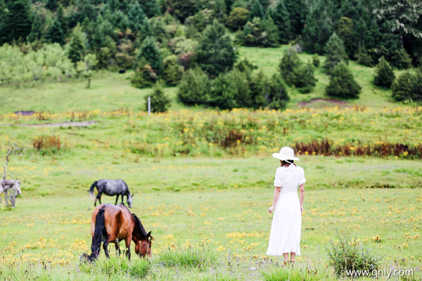西藏5日游线路价格