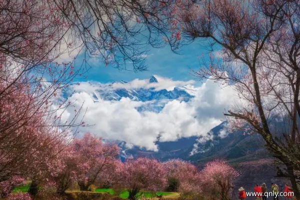 西藏旅游几月份合适
