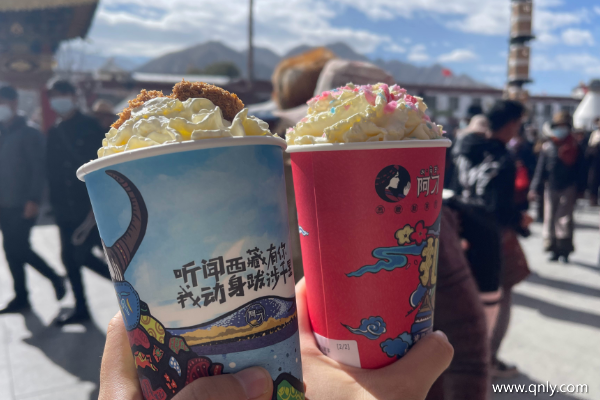 西藏旅游注意什么