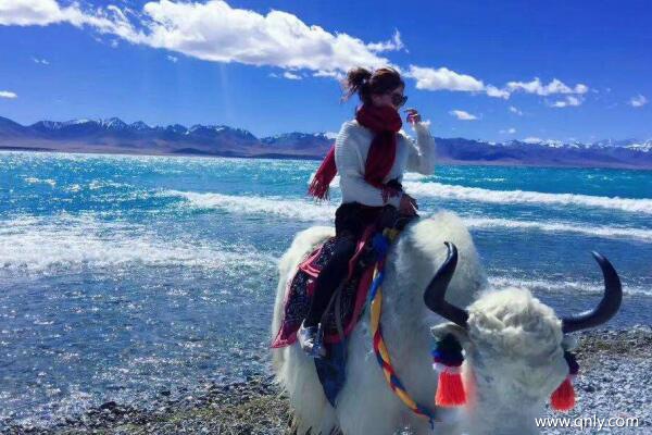 外地游客可以去西藏当地报团吗？