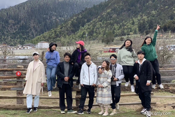 去西藏游玩应该怎么安排路线