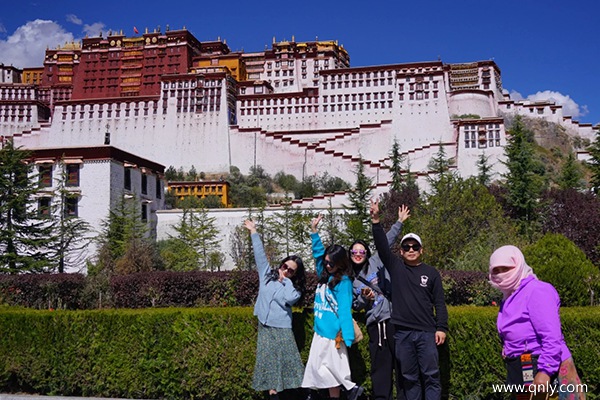 西藏旅游租车多少钱一天