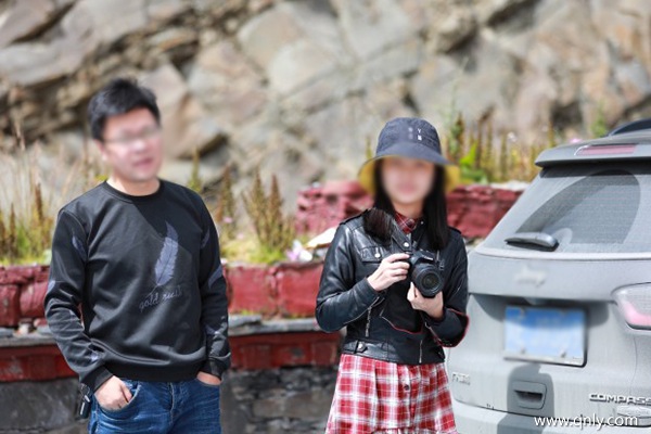 西藏旅游包车价格一天多少钱