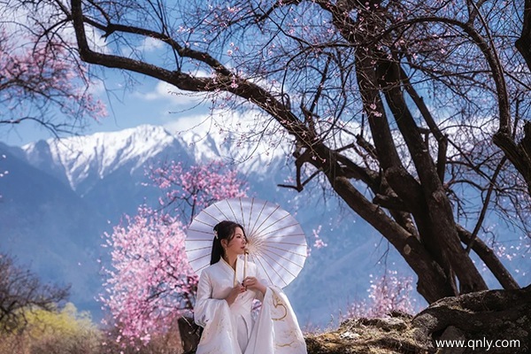 什么时候去林芝看桃花合适