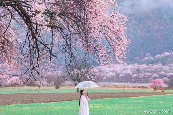 林芝旅游团报价五日游多少钱