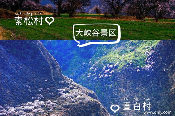 林芝旅游团报价五日游多少钱