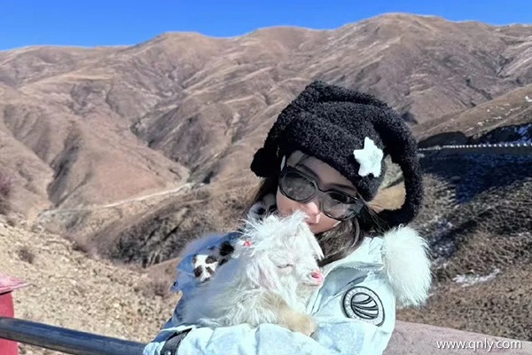 西藏一个人旅游预算多少钱