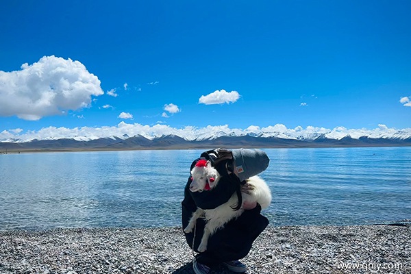 去西藏旅游最佳路线