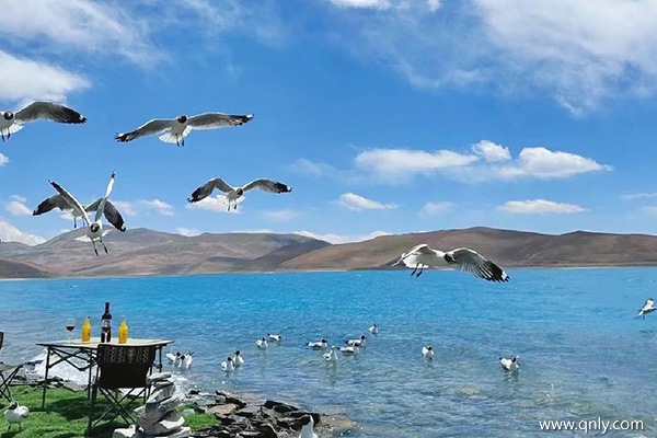 广州到拉萨一般要多少钱？