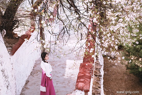 三月去拉萨旅游怎么样