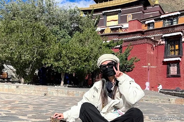 成都去西藏旅游的费用？