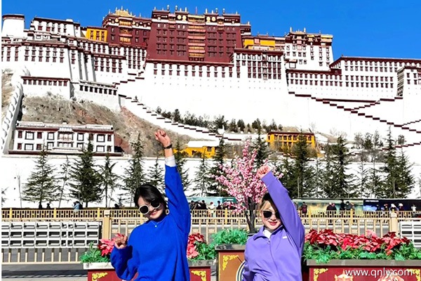 三月去西藏看桃花