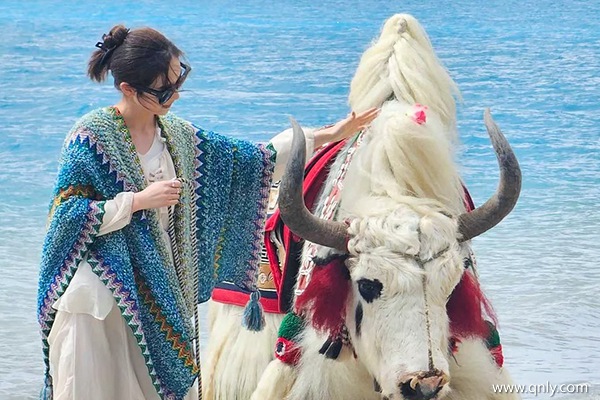 到西藏最美火车路线