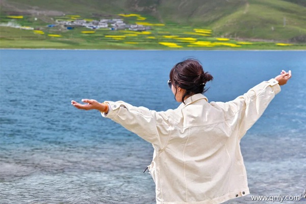 西藏一般多少钱