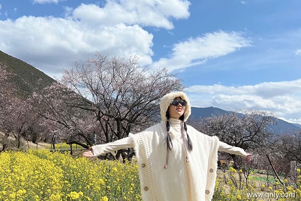 去一次西藏要花多少钱呢